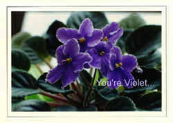 You are Violet... You're smart, shy and artistic. You do not care at all on what people think of you- and you are cheerful and happy. You're so lucky!