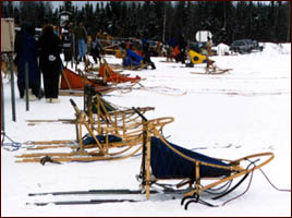 sled line at races