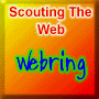 Scouting The Web