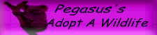  Pegasus adoption logo