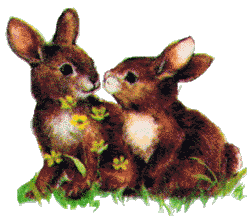 pegasus bunnies