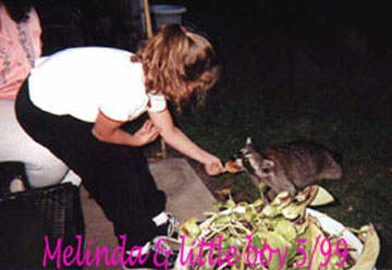 Melinda feeding raccoon