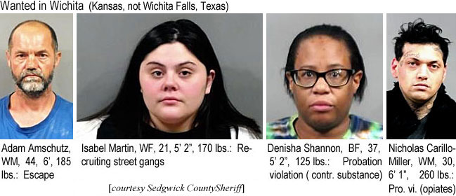 acarillo.jpg Wanted in Wichita (Kansas, not Wichita Falls, Texas): Adam Amschutz, WM, 44, 6', 185 lbs, escape; Isabel Martin, WF, 21, 5'2", 170 lbs, recruiting street gangs; Denista Shannon, BF, 37, 5'2", 125 lbs, probation violation (contr. substance); Nicholas Carillo-Miller, WM, 30, 6'1", 260 lbs, pro. vi. (opiates) (Sedgwick County Sheriff)