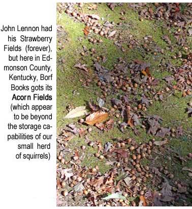 acornfld.jpg John Lennon had his Strawberry Fields (forever), and here in Edmonson County, Kentucky, Borf Books gots its acorn fields (which appear to be beyond the storage capabilities of our small herd of squirrels)