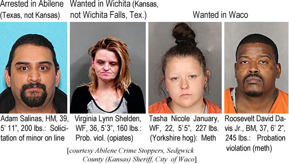 adamsali.jpg Arrested in Abilene (Texas, not Kansas): Adam Salinas, HM, 39, 5'11", 200 lbs, solicitation of minor on line; Wanted in Wichita (Kansas, not Wichita Falls, Texas): Virginia Lynn Shelden, WF, 36, 5'3", 160 lbs, prob. viol. (opiates); Wanted in Waco: Tasha Nicole January, WF, 22, 5'5", 227 lbs (Yorkshire hog), meth; Roosevelt David Davis Jr., BM, 37, 6'2", 245 lbs, probation (meth) (Abilene Crime Stoppers, Sedgwick County, Kansas, Sheriff, City of Waco)