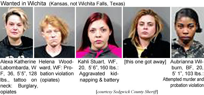 alexakat.jpg Alexa Katherine Labombarda,WF, 36, 5'5", 128 lbs, tattoo on neck,burglary, opiates; Helena Woodward, WF, probation violation (opiates); Kahli Stuart, WF, 20, 5'6", 160 lbs, aggravated kidnapping & battery; [this one got away]; Aubrianna Wilburn, BF, 20, 5'1", 103 lbs, attempted murder and probation violation (Sedgwick County Sheriff)