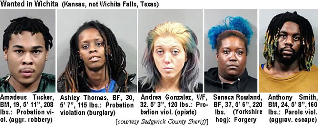 amadeust.jpg Wanted in Wichita (Kansas, not Wichita Falls, Texas): Amadeus Tucker, BM, 19, 5'11", 208 lbs, probation viol. (aggr. robbery); Ashley Thomas, BF, 30, 5'7", 115 lbs., provation violation (burglary); Andrea Gonzalez, WF, 32, 5'3", 120 lbs, probation viol. (opiate); Seneca Rowland, BF, 37, 5'6", 220 lbs (Yorkshire hog), forgery; Anthony Smith, BM, 24, 5'8", 160 lbs, parole viol. (aggrav. escape) (Sedgwick County Sheriff)
