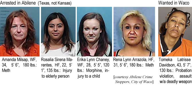 amandaro.jpg Arrested in Abilene (Texas, not Kansas): Amanda Milsap, WF, 34, 5'6", 180 lbs, meth; Rosalia Sirena Marentes, HF, 22, 5'1", 135 lbs, injury to elderly person; Erika Lynn Chaney, WF, 28, 5'5", 120 lbs, morphine, injury to a child; Rena Lynn Arrazola, HF, 31, 5'6", 180 lbs, meth; Wanted in Waco: Tomeka Latrisse Davidson, 43, 5'7", 130 lbs, probation violation, assault w/a deadly weapon (Abilene Crime Stoppers, City of Waco)