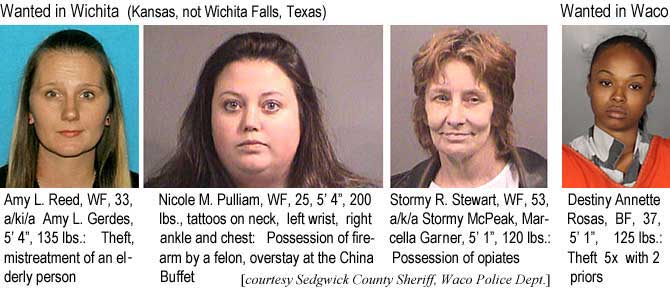 amynicol.jpg Wanted in Wichita (Kansas, not Wichita Falls, Texas): Amy L. Reed, WF, 33, a/k/a Amy L. Gerdes, 5'4", 135 lbs, theft, mistreatment of an elderly person; Nicole M. Pulliam, WF, 25, 5'4", 200 lbs, tattoos on neck, left wrist, right ankle and chest, possession of firearm by a felon, overstay at the China Buffet; Stormy R. Stewart, WF, 53, a/k/a Stormy McPeak, Marcella Garner, 5'1", 120 lbs, possession of opiates; Wanted in Waco: Destiny Annette Rosas, BF, 37, 5'1", 125 lbs, theft 5x with 2 priors (Sedgwick County Sheriff, Waco Police Dept.)