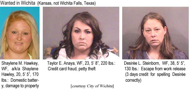Wanted in Wichita (Kansas, not Wichita Falls, Texas): Shaylene M. Hawkey, WF, a/k/a Shaylene Hawley, 20, 5'5", 170 lbs, domestic battery, damage to property; Taylor E. Anaya, WF, 23, 5'8", 220 lbs, credit card fraud, petty theft; Desirée L. Steinborn, WF, 38, 5'5", 130 lbs, escape from work release (3 days credit for spelling Desirée correctly) (City of Wichita)