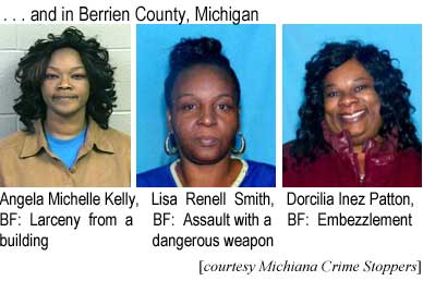 . . . and in Berrien County, Michigan: Angela Michelle Kelly, BF, larceny from a building; Lisa Renell Smith, BF, assault with a dangerous weapon; Dorcilia Inez Patton, BF, embezzlement (Michiana Crime Stoppers)