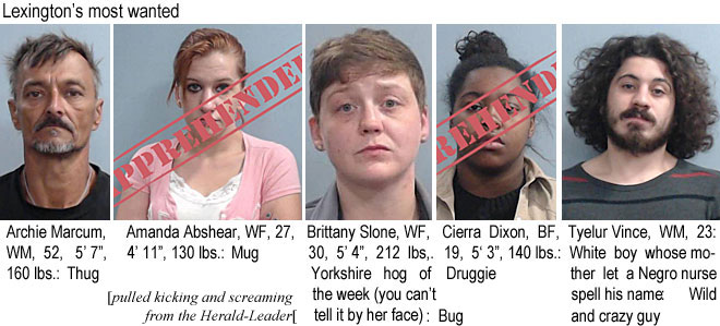 archmarc.jpg Archie Marcum, WM, 52, 5'7", 160 lbs, thug; Amnda Abshear, WF, 27, 4' 11", 130 lbs, mug; Brittany Stone, WF, 30, 5'4" 212 lbs, Yorkshire hog of the week (you can't tell by her face), bug; Cierra Dixon, BF, 19, 5'3", 140 lbs, Druggie; Tyelur Vince WM, 23: White boy whose mother let a Negro nurse spell his name, wild and crazyy guy (pulled kicking and screaming from the Herald-Leader)