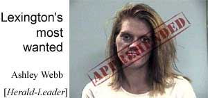 Lexington's most wanted: Ashley Webb apprehended (Herald-Leader)