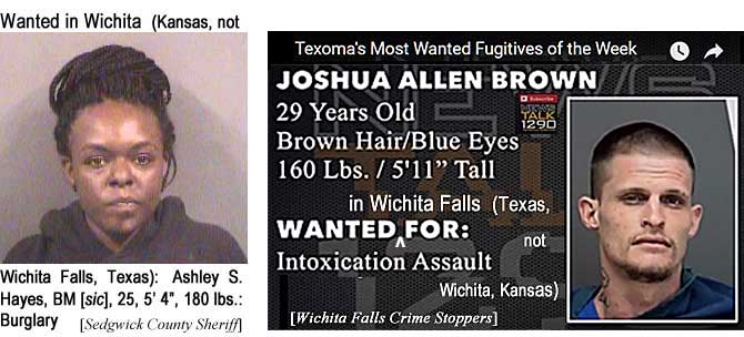 ashlyall.jpg Wanted in Wichita (Kansas, not Wichita Falls, Texaas): Ashley S. Hayes, BM [sic], 25, 5'4", 180 lbs, burglary (Sedgwick County Sheriff]; Texoma's most wanted fugitives of the week: Wanted in Wichita Falls (Texas, not Wichita, Kansas): Joshua Allen Brown, 29, brown hair, blue eyes, 160 lbs, 5'11", intoxication assault (Wichita Falls Crime Stoppers)