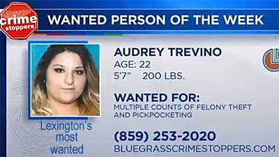 audreytr.jpg Lexington's most wanted: Audrey Trevino, 22, 5'7", 200 lbs, multiple counts of felony theft and pickpocketing, 859-253-2020 bluegrasscrimestoppers.com