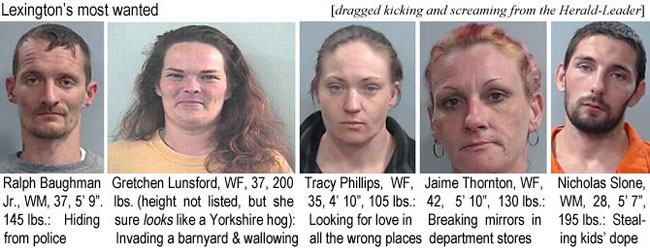baughman.jpg Lexington's most wanted (dragged kicking and screaming from the Herald-Leader): Ralph Baughman Jr., WM, 37. 5'9", 145 lbs, hiding from police; Gretchen Lunsford, WF, 3, 200 lbs (height not listed, but she sure looks like a Yorkshire hog), invading a barnyard & wallowing; Tracy Phelps, WF, 35, 4'10", 105 lbs, looking for love in all the wrong places; Jaime Thornton, WF, 42, 5'10", 130 lbs, breaking mirrors in department stores; Nicholas Stone, WM, 28, 5'7", 195 lbs, stealing kids' dope