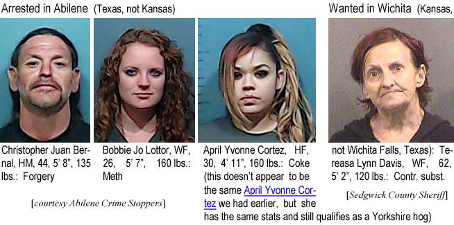bobbiejo.jpg Arrested in Abilene (Texas, not Kansas): Christopher Juan Bernal, HM, 44, 5'8", 135 lbs, forgery; Bobbie Joe Lottor, WF, 26, 5'7", 160 lbs, meth; April Yvonne Cortez, HF, 30, 4'11", 160 lbs, coke (this doesn't appear to be the same April Yvonne Cortez we had earlier, but she has the same stats and still qualifies as a Yorkshire hog) (Abilene Crime Stoppers); Wanted in Wichita (Kansas, not Wichita Falls, Texas): Tereasa Lynn Davis, WF, 5'2", 120 lbs, controlled substan. (Sedwick County Sheriff)