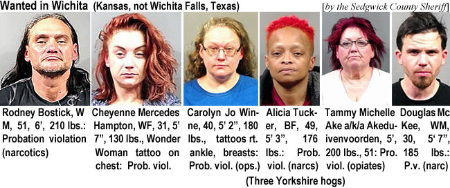bostickr.jpg Wanted in Wichita (Kansas, not Wichita