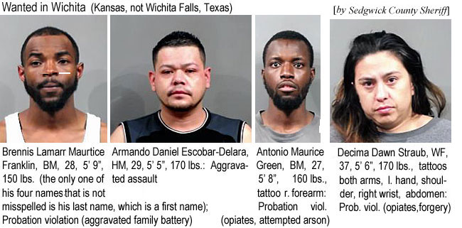brennisf.jpg Wanted in Wichita (Kansas, not Wichita Falls, Texas): Brennis Lamarr Marutice Franklin, BM, 28, 5'9", 150 lbs (the only one of his four names that is not misspelled in his last name, which is a first name), probation violation (aggravated family battery); Armando Daniel Escobar-Delara, HM, 29, 5'5", 170 lbs, aggravated assault; Antonio Maurice Green, BM, 27, 5'8", 160 lbs, tattoo r. forearm, probation viol. (opiates, attempted arson); Decima Dawn Staub, WF, 37, 5'6", 170 lbs, tattoos both arms, l. hand, shoulder, right wrist, abdomen, prob. viol. (opiates, forgery) (Sedgwick County Sheriff)