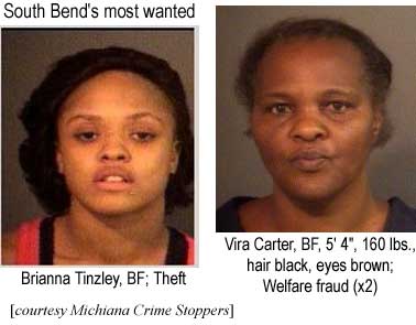 South Bend's most wanted: Brianna Tinzley, BF, theft; Vira Carter, BF, 5'4", 160 lbs, hair black, eyes brown, welfare fraud (x2) (Michiana Crime Stoppers)