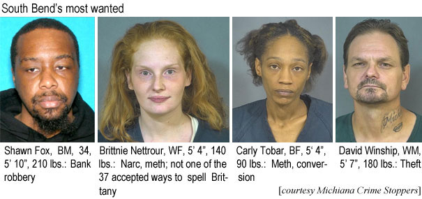 brittnie.jpg South Bend's most wanted: Shawn Fox, BM, 34, 5'10", 210 lbs., bank robbery; Brittnie Nettrour, WM, 5'4", 140 lbs, narc, meth, not one of the 37 accepted ways to spell Brittany; Carly Tobor, BF, 5'4", 90 lbs, meth, conversion; David Winship, WM, 5'7", 180 lbs, theft (Michiana Crime Stoppers)