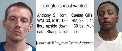 caelangl.jpg Lexington's most wanted: Anthony S. Horn, WM, 33, 5' 9", 180 lbs, upside down ears, strangulation; Caelan Gills, BM, 23, 5'4", 130 lbs, murder (Bluegrass Crime Stoppers)