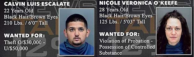 calvnico.jpg Calvin Luis Escalate, 22, 210 lbs, 6'0", theft over $30,000, under $50,000; Nicole Veronica O'Keefe, 28, 125 lbs, 5'3", violation of probation, possession of controlled substance