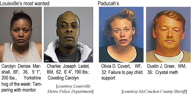 carolynd.jpg Louisville's most wanted: Carolyn Denise Marshall, BF, 36, 5'1", 200 lbs, Yorkshire hog of the week, tampering with monitor; Charles Joseph Ledet, BM, 62, 6'4", 190 lbs, coveting Carolyn (Louisville Metro Police Department); Paducah's: Olivia D. Covert, WF, 32, failure to pay child support; Dustin J. Greer, WM, 36, crystal meth (McCracken County Sheriff)