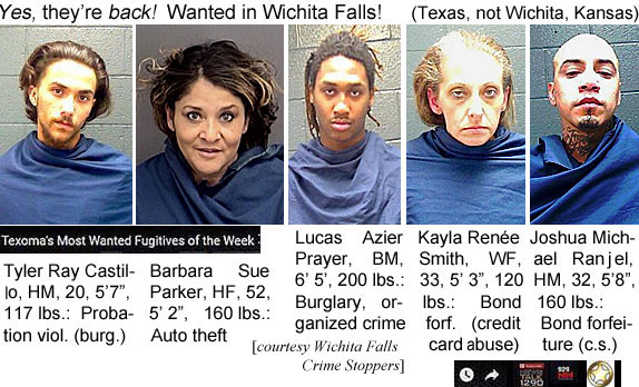 castillo.jpg Yes, they're back! Wanted in Wichita Falls (Texas, not Wichita, Kansas) (Texoma's most wanted fugitives of the week): Tyler Ray Castillo, HM, 20, 5'7", 117 lbs, probation viol. (burg.); Barbara Sue Parker, HF, 52, 5'2",  160 lbs, auto theft; Lucas Azier Prayer, BM, 6'5", 200 lbs, burglary, organized crime; Kayla Renée Smith, WF, 33, 5'3", 120 lbs, bond forf. (credit card abuse); Joshua Michael Ranjel, HM, 32, 5'8", 160 lbs, bond forfeiture (c.s.) (Wichita Falls Crime Stoppers)