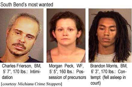 chaspeck.jpg South Bend's most wanted: Charles Frierson, BM, 5'7", 170 lbs, intimidation; Morgan Peck, WF, 30, 5'5", 160 lbs, possession of precursors; Brandon Morris, BM, 6'3", 170 lbs, contempt (fell asleep in court) (Michiana Crime Stoppers)