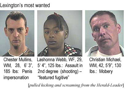 Lexington's most wanted: Chester Mullins, WM, 28, 6'3", 185 lbs, penis impersonation; Lashonna Webb, WF, 29, 5'4", 125 lbs, assault in 2nd degree (shooting), "featured fugitive"; Christian Michael, WM, 42, 5'9", 130 lbs, mobery (kicking and screaming Herald-Leader)