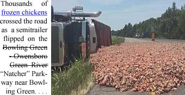 chickens.jpg Thousands of frozen chickens crossed the road as a semitrailer overturned on the Bowling Green - Owensboro Green River ("Natcher") Parkway near Bowling Green