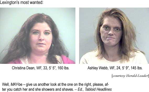 Lexington's most wanted: Christina Dean, WF, 33, 5'5", 160 lbs, Ashley Webb, WF, 24, 5'9", 145 lbs (Herald-Leader), Well, maybe, give us another look at the one on the right [Ashley] after you catch her and she showers and shaves - Ed., Tabloid Headlines