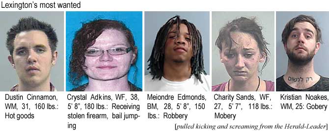 cinnamon.jpg Lexington's most wanted: Dustin Cinnamon, WM, 31, 160 lbs, hot goods; Crystal Adkins, WF, 38, 5'8", 180 lbs, receiving stolen firearm, bail jumping; Meiondre Edmonds, BM, 28, 5'8", 150 lbs, robbery; Charity Sands, WF, 27, 5'7", 118 lbs, mobery; Kristian Noakes, WM, 25, gobery (pulled kicking and screaming from the Herald-Leader)