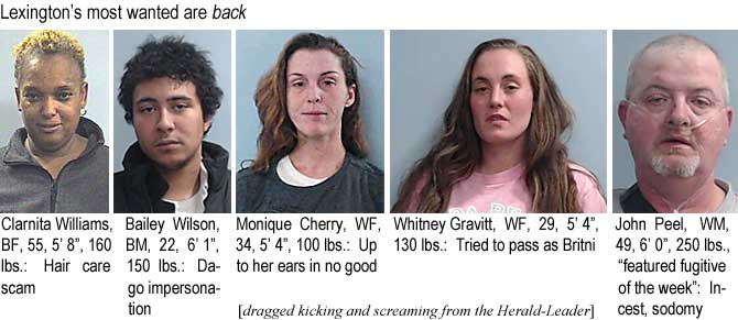 clarnita.jpg Lexington's most wanted are back: Clarnita Williams, BF, 55, 5'8", 160 lbs, hair care scam; Bailey Wilson, BM, 22, 6'1", 150 lbs, Dago impersonation; Monique Cherry, WF, 34, 5'4", 100 lbs, up to her ears in no good; Whitney Gravitt, WF, 29, 5'4", 130 lbs, tried to pass as Britni; John Peel, WM, 49, 6'0", 250 lbs, featured fugitive of the week, incest, sodomy (dragged kicking and screaming from the Herald-Leader)