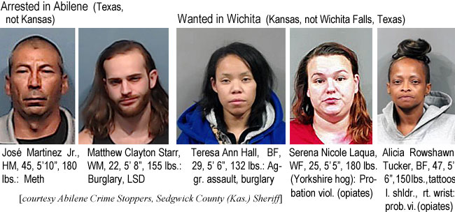 coleaqua.jpg Arrested in Abilene (Texas, not Kansas): José Martinez Jr., HM, 45, 5'10", 180 lbs, meth; Mattheew Clayton Starr, WM, 22, 5'8", 155 lbs, burglary, LSD; Wanted in Wichita (Kanwsas, not Wichita Falls, Texas): Teresa Ann Hall, BF, 29,, 5'6", 132 lbs, aggr. assault, burglary; Serena Nicole Laqua, WF, 25, 5'5", 180 lbs (Yorkshire hog), probation viol. (opiates); Alicia Rowshawn Tucker, BF, 47, 5'6", 15i0 lbs, tattoos l. shldr, rt wrist, prob. vi. (opiates) (Abilene Crime Stoppers, Sedgwick County Kas. Sheriff)
