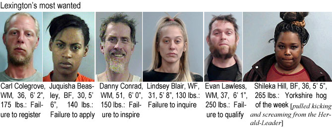 colegrov.jpg Lexington's most wanted: Carl Colegrove, WM, 36, 6'2", 175 lbs, failure to register; Juquisha Beasley, BF, 30, 5'6", 140 lbs, failure to apply; Danny Conrad, WM, 6'0", 150 lbs, failure to inspire; Lindsey Blair, WF, 31, 5'8", 130 lbs, failure to inquire; Evan Lawless, WM,  37, 6'1", 250 lbs, failure to qualify; Shileka Hill, BF, 36, 5'5", 265 lbs, Yorkshire hog of the week (pulled kicking and screamiing from the Herald-Leader)