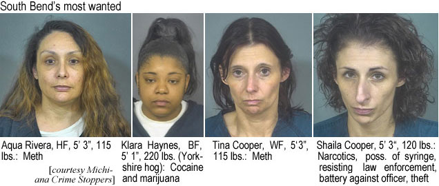 cooperss.jpg South Bend's most wanted: Aqua Rivera, HF, 5''3", 115 lbs, meth; Klara Haynes, BF, 5'1", 220 lbs (Yorkshire hog), cocaine and marijuana; Tina Cooper, WF, 5'3", 115 lbs, meth; Shaila Cooper, 5'3", 120 lb, narcotics, poss. of syringe, resisting law enforcement, battery against officer, theft (Michiana Crime Stoppers)