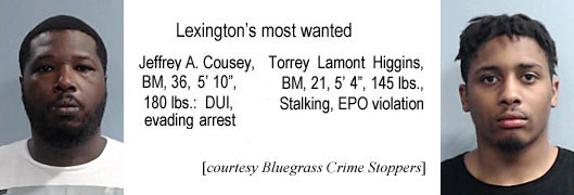 couseyjf.jpg Lexington's most wanted: Jeffrey A. Cousey, BM, 36, 5'10", 180 lbs, DUI, evading arrest; Torrey Lamont Higgins, BM, 21, 5'04", 145 lbs, stalking, EPO violation (Bluegrass Crime Stoppers)