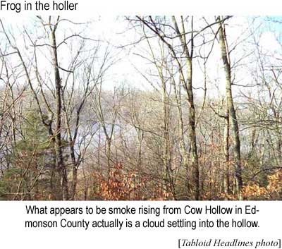Frog in the holler: What appears to be smoke rising from Cow Hollow in Edmonson County actually is a cloud settling into the hollow (Tabloid Headlines photo)