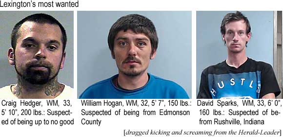 craighed.jpg Craig Hedger, WM, 33, 5'10", 200 lbs, suspected of being up to no good; William Hogan, WM, 32, 5'7", 150 lbs, suspected of being from from Edmonson County; David Sparks, WM, 33, 6'0", 160 lbs, suspected of being from Rushville, Indiana (pulled kicking and screaming from the Herald-Leader)