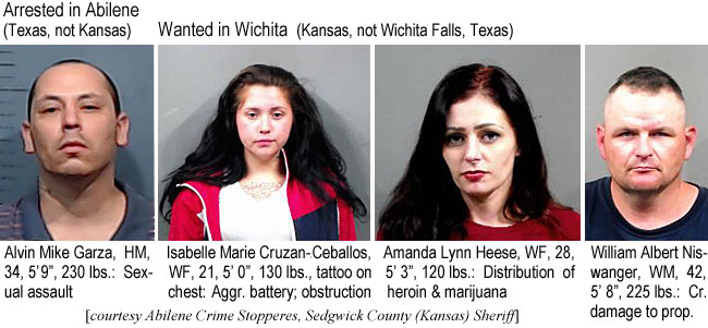 cruzance.jpg Arrested in Abilene (Texas not Kansas): Alvin Mike Garza, HM, 34, 5'9", 230 lbs, sexual assault; Wanted in Wichita (Kansas, not Wichita Falls, Texas: Isabelle Marie Cruzan-Ceballos, WF, 21, 5'0", 130 lbs, tattoo on chest, aggr. battery, obstruction; Amanda Lynn Heese, WF, 28, 5'3", 120 lbs, distribution of heroin & marijuana; William Albert Niswanger, WM, 42, 5'8", 225 lbs, cr. damage to prop. (Abilene Crime Stoppers, Sedgwick County (Kansas) Sheriff)