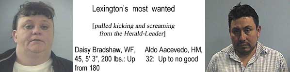 Lexington's most wanted (pulled kicking and screaming from the Herald-Leader): Daisy Bradshaw, WF, 45, 5'3", 200 lbs, up from 180; Aldo Aacevedo, HM, 32, up to no good