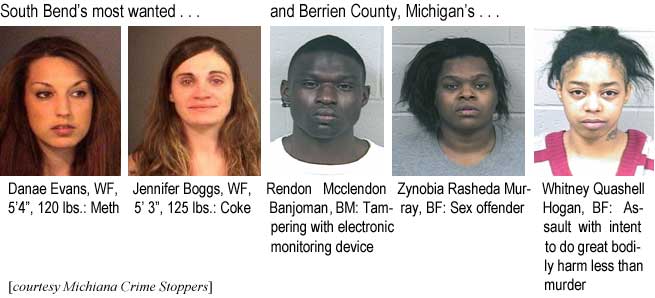 South Bend's most wanted: Danae Evans, WF, 5'4", 120 lbs, meth; Jennifer Boggs, WF, 5'3", 125 lbs, coke; And Berrien County, Michigan's: Rendon Mcclendon Banjoman, BM, tampering with electronic monitoring device; Zynobia Rasheda Murray, BF, sex offender; Whitney Quashell Hogan, BF, assault with intent to do great bodily harm less than murder (Michiana Crime Stoppers)