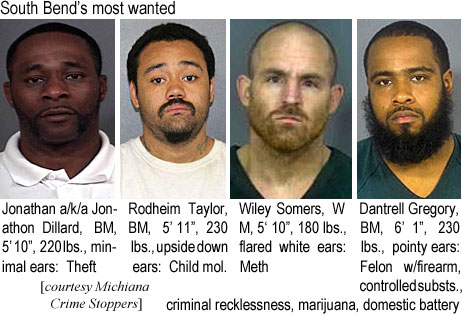 dantrell.jpg South Bend's most wanted: Jonathan a/k/a Jonathon Dillard, BM, 5'10", 200 lbs, minimal ears, theft; Rodheim Taylor, BM, 5'11", 230 lbs, upside down ears, child mol.; Wiley Somers, WM, 5'10", 180 lbs, flared white ears, meth; Dantrell Gregory, BM, 6'1", 230 lbs, pointy ears, criminal recklessness, felon w/firearm, controlled substs., marijuana, domestic battery (Michiana Crime Stoppers)