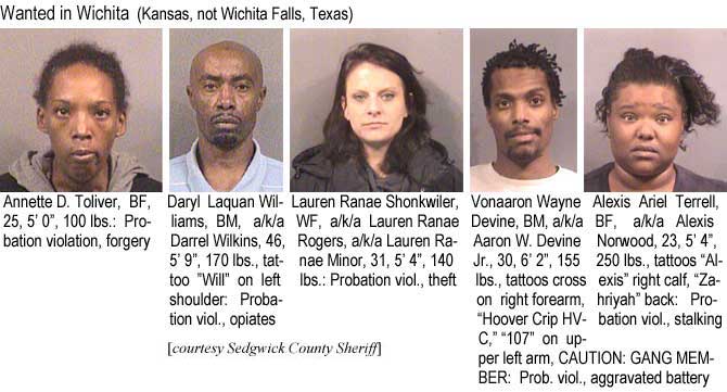 darylvon.jpg Wanted in Wichita (Kansas, not Wichita Falls, Texas): Annette D. Toliver, BF, 25, 5'0", 100 lbs, probation violation, forgery; Daryl Laquan Williams, BM, a/k/a Darrel Wilkins, 46, 5'9", 170 lbs, tattoo "Will" on left shoulder, probation viol., opiates; Lauren Ranae Shonkwiler, WF, a/k/a Lauren Ranae Rogers, a/k/a Lauren Ranae Minor, 31, 5'4", 140 lbs, probation viol., theft; Vonaaron Wayne Devine, BM, a/k/a Aaron W. Devine Jr., 30, 6'2", 155 lbs, tattoos cross on right forearm, "Hoover Crip HVC," "107" on upper left arm, CAUTION: GANG MEMBER, prob. viol., aggravated battery; Alexis Ariel Terrell, BF, a/k/a Alexis Norwood, 23, 5'4", 250 lbs, tattoos "Alexis" right calf, "Zahriyah" back, probation viol., stalking (Sedgwick County Sheriff)