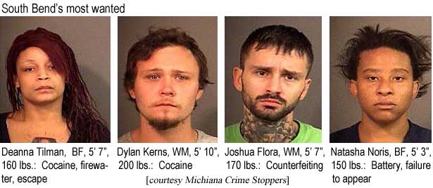South Bend's most wanted: Deanna Tilman, BF, 5'7", 160 lbs, cocaine, firewater, escape; Dylan Kerns, WM, 5'10", 200 lbs, cocaine; Joshua Flora, WM, 5'7", 170 lbs, counterfeiting; Natasha Norris, BF, 5'3", 150 lbs, battery, failure to appear (Michiana Crime Stoppers)