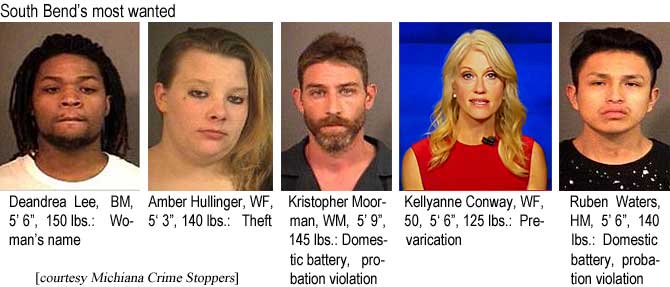 deandrea.jpg South Bend's most wanted: Deandrea Lee, BM, 5'6", 150 lbs, woman's name; Amber Hullinger, WF, 5'3", 140 lbs, theft; Kristopher Moorman, WM, 5'9", 145 lbs, domestic battery, probation violation; Kellyanne Conway, WF, 50, 5'6", 125 lbs, prevarication; Ruben Waters, HM, 5'6", 140 lbs, domestic battery, probation violations (Michiana Crime Stoppers)