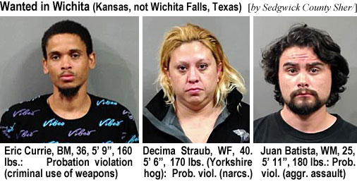 decimast.jpg Wanted in Wichita (Kansas, not Wichita Falls, Tesas) (by Sedgwick County Sher.): Eric Currie, BM, 36, 5'9", 160 lbs, probation violation (criminal use of weapons); Decima Straub, WF, 40, 5'6", 170 lbs (Yorkshire hog), prob. viol. (narcs.); Juan Batista, WM, 25, 5'11", 180 lbs, prob. viol. (aggr. assault)