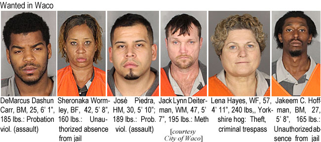 demarcus.jpg Wanted in Waco: DeMarcus Sashun Carr, BM, 25, 6'1", 185 lbs, probation viol. (assault); Sheronaka Wormley, BF, 42, 5'8", 160 lbs, unauthorized absence from jail; José Piedra, HM, 30, 5'10", 189 lbs, prob. viol. (assault); Jack Lynn Deiterman, WM,,47, 5'7", 195 lbs, meth; Lena Hayes, WF, 57, 4'11", 240 lbs, Yorkshire hog, theft, criminal trespass; Jakeem C. Hoffman, BM, 27, 5'8", 165 lbs, unauthorized absence from jail (City of Waco)
